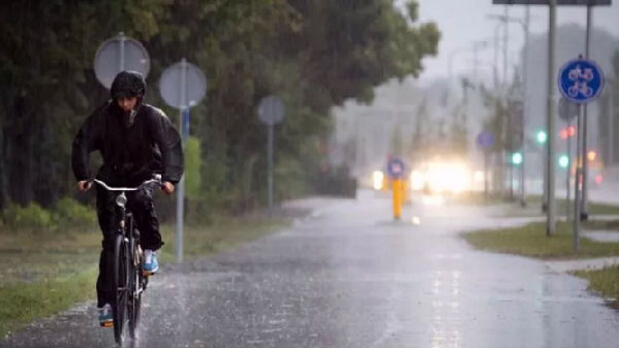 趣味科普:荷兰人下雨天不打伞