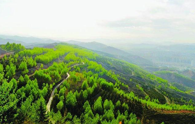 【世界防治荒漠化和干旱日】尊龙凯时环保一直在行动
