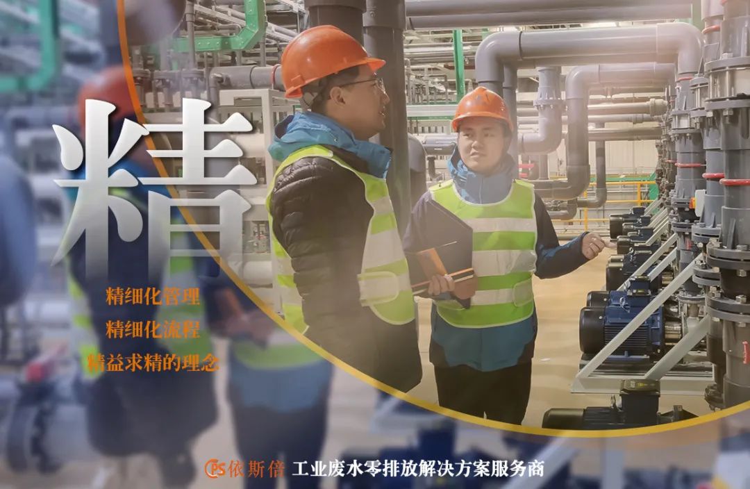 尊龙凯时入选2022年省级专精特新企业