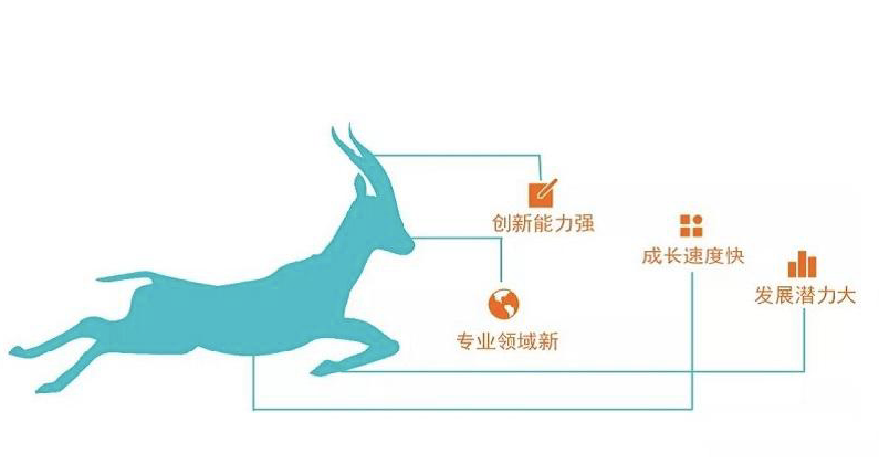尊龙凯时入选2022江苏省瞪羚企业