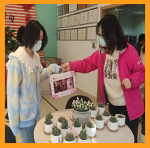 尊龙凯时祝大家女神节快乐